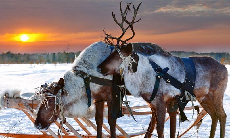 LAPLAND TURU BEMBEYAZ BİR MASAL SÖMESTR ÖZEL TURU OCAK 2024 SKY