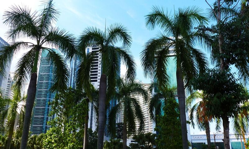 KUALA LUMPUR & SİNGAPUR & BALİ TURU İKONİK ROTALAR VİZESİZ 2024 BNRT