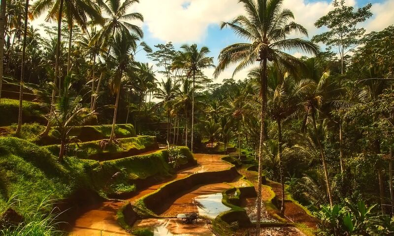 HARİKALAR DİYARI BALİ`DE DENİZ & UBUD`DA KÜLTÜR ROTASI VE KAPIDA KOLAY VİZE 2023-2024 BNRT