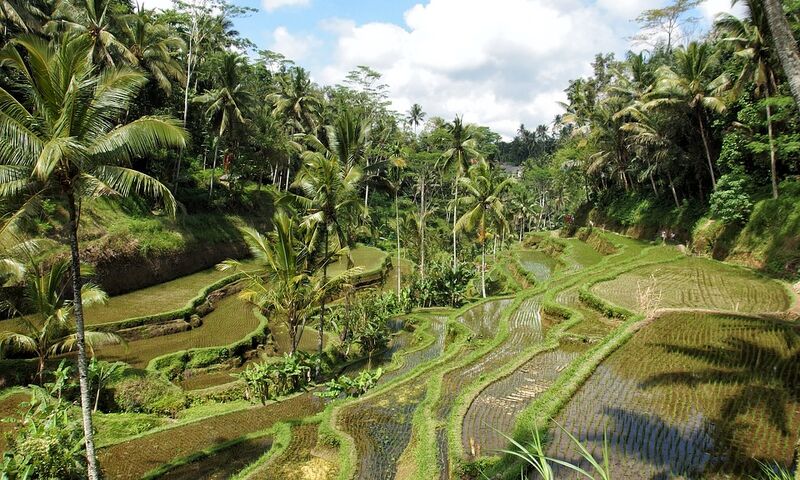 HARİKALAR DİYARI BALİ`DE DENİZ & UBUD`DA KÜLTÜR ROTASI VE KAPIDA KOLAY VİZE 2023-2024 BNRT