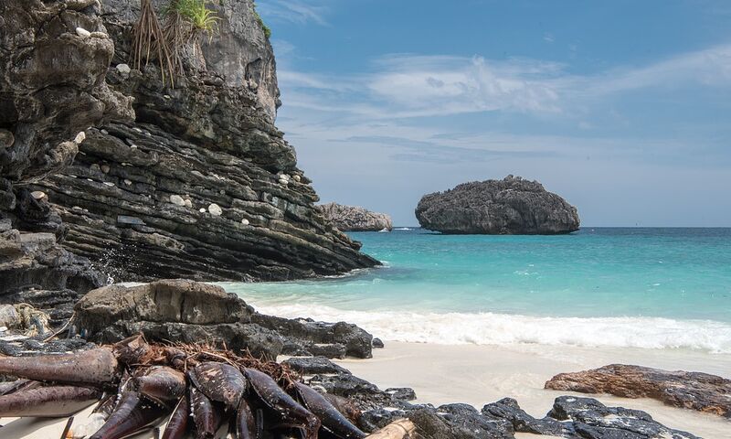 PHUKET TURU KASIM-ARALIK 2023 TRVZ