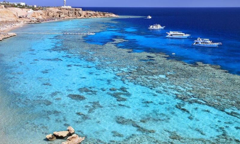 KIZILDENİZ AKVARYUMU: SHARM EL SHEIKH YILBAŞI ÖZEL 2023 SKY