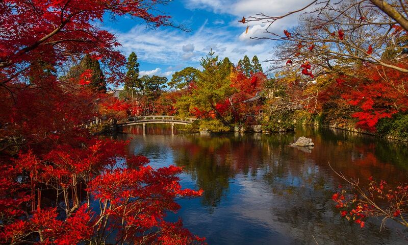 DOĞAN GÜNEŞİN ÜLKESİ: JAPONYA SAKURA ÖZEL TURU 2024 SKY