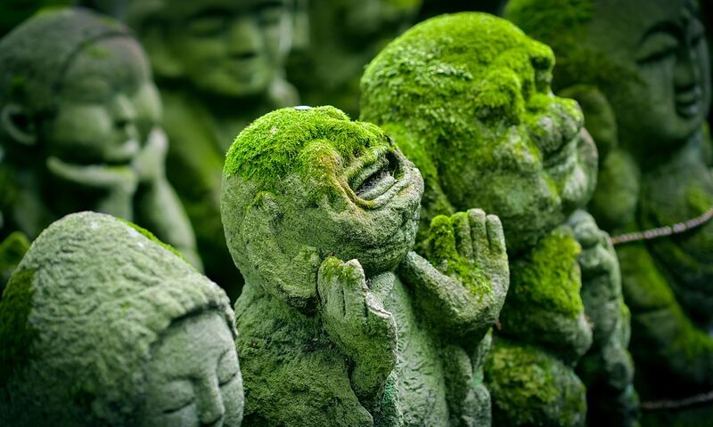 DOĞAN GÜNEŞİN ÜLKESİ: JAPONYA SAKURA ÖZEL TURU 2024 SKY