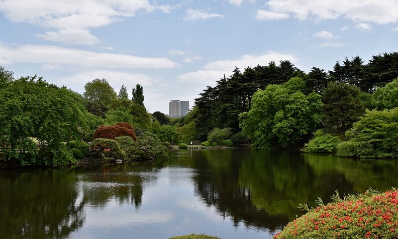 DOĞAN GÜNEŞİN ÜLKESİ: JAPONYA SAKURA ÖZEL TURU 2024 SKY