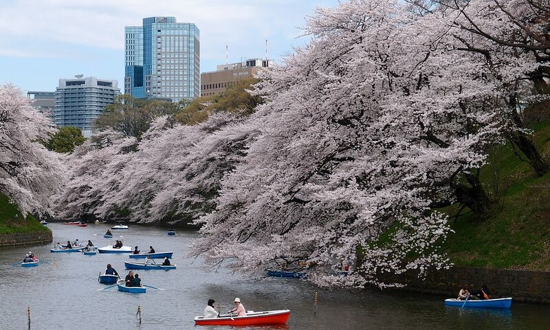 DOĞAN GÜNEŞİN ÜLKESİ JAPONYA 2024 SKY
