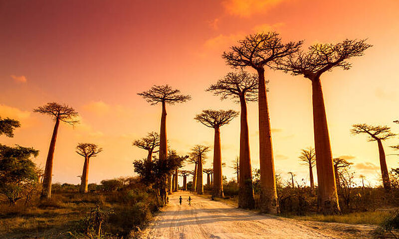 MADAGASKAR MAURİTİUS TURU EJR 2025